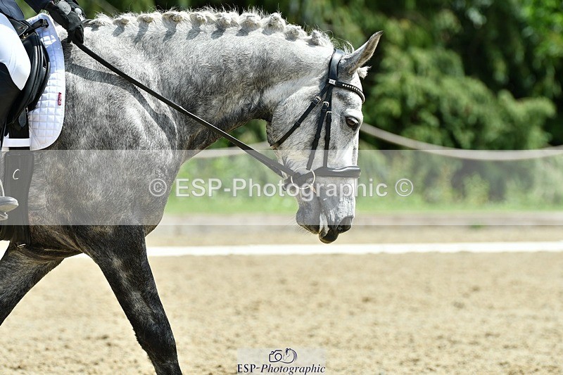 230623-141313-00931 - Cls 5 Elementary 43