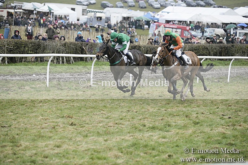 PtP 020418 -249 - Old Berks Point-to-Point Races Easter Monday 02/04/18