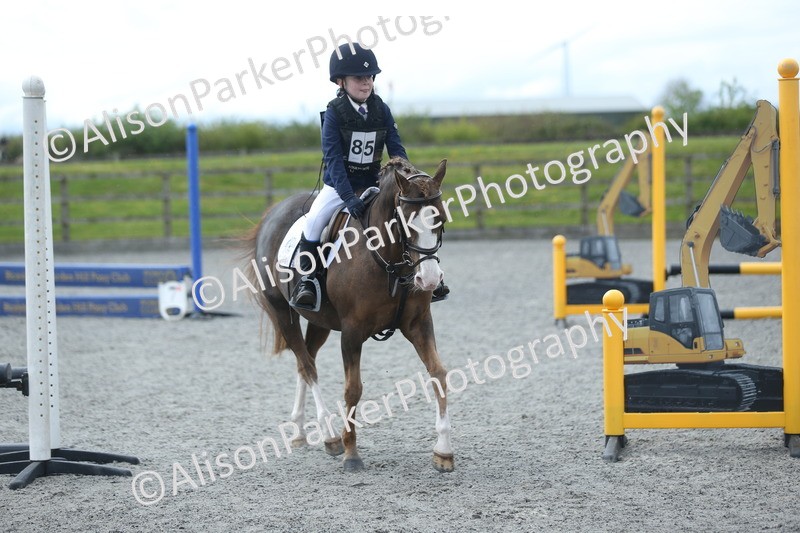 20260412-1748 - Show Jumping