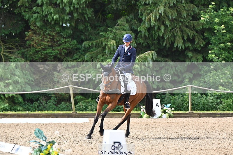 250523A-094140-05313 - C-258-Bill.Levett-ITALIAN.HARLEQUIN.NJ