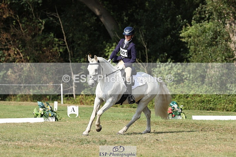 250823A-161128-33350 - PC80 Ride Off