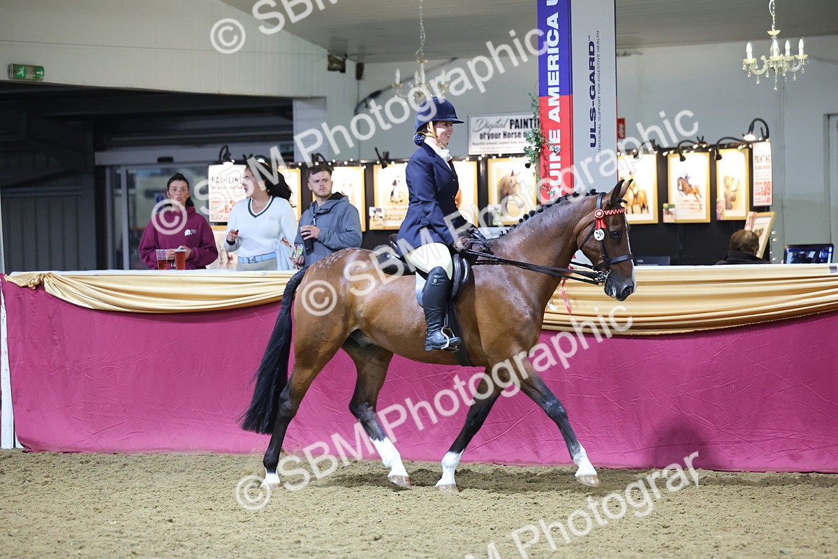 0B8A4525 - Class P Veteran Champ