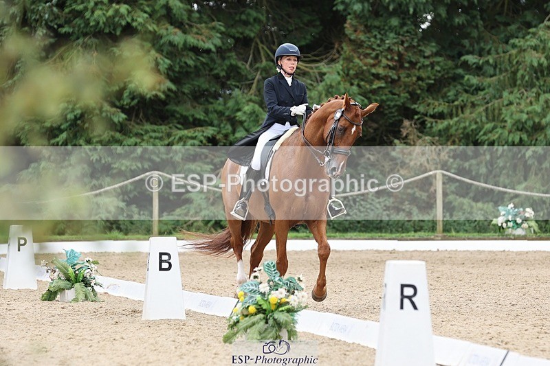 240810-133112-03327 - 188-Amanda.Towle.Shaw-Rockwood.Virtue