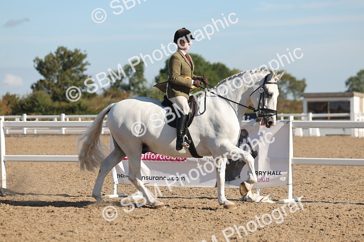 SBM_12268 - Class 303 - Ridden Pure Bred Horse Pony