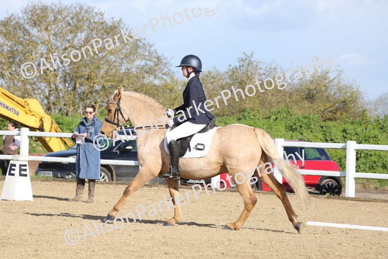 20260314-5177 - DR6 - Novice 2