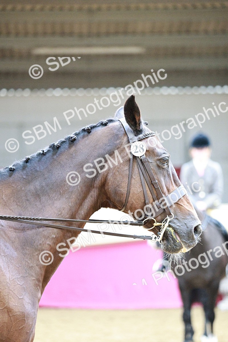 SBM_02275 - Class 4A - Area Ridden Diamond