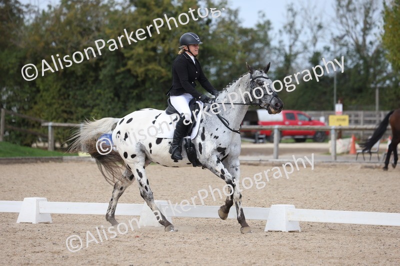 20261010-0698 - Class 6 - Novice 2