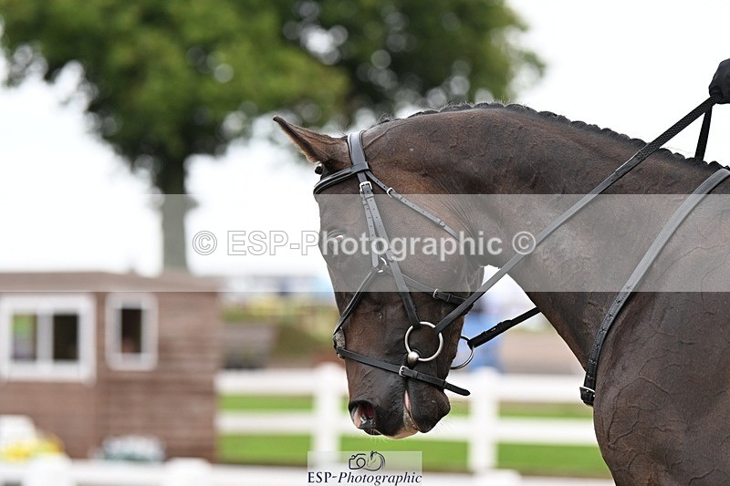 250907-115204-07279 - 068-Emma.LeedingViaduct