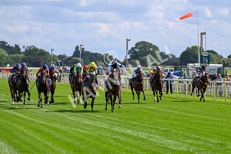 120626-Race 5-Antipodes-7797 - Race 5 16.10pm Sky Bet The World's Gone Football Handicap