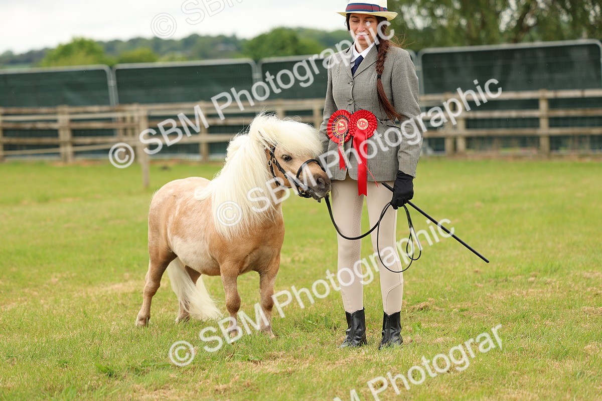 SBM_03536 - Class 58-67 - M&M Non Welsh Pony In hand