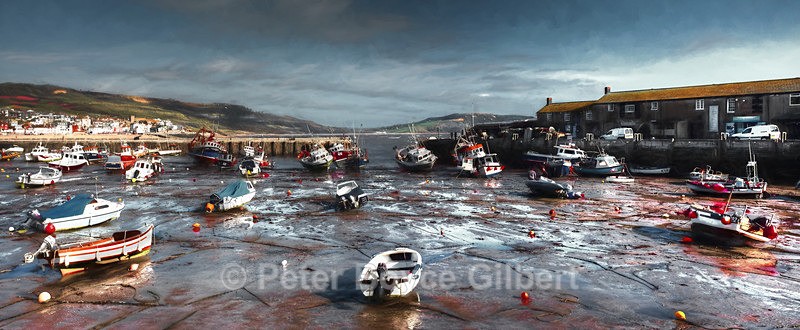 Lyme Regis panorama - The Coast