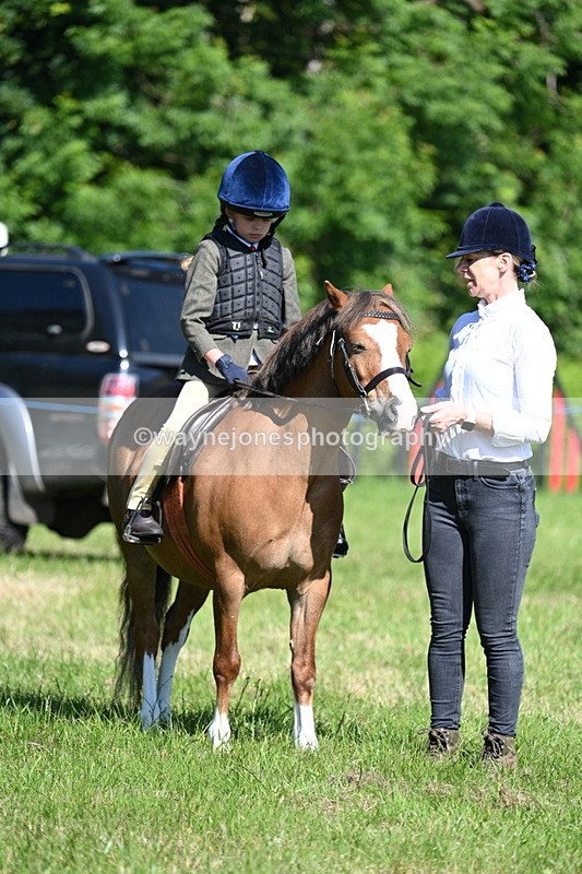 WJ7_0401 - Class 8 First Rally Pony