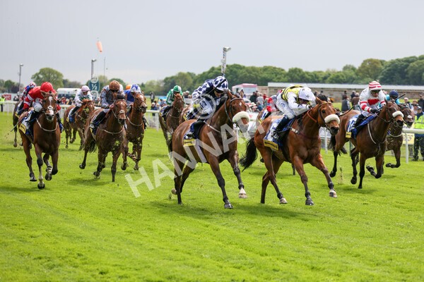 yr11052022r2-30 - Race 2 2.25pm Churchill Tyres Stakes