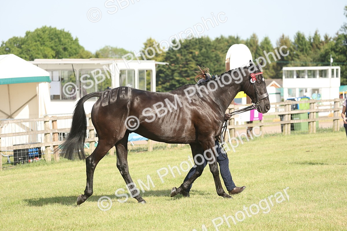 SBM_10318 - Class 33-38 - SSADL RIHS Qualifiers