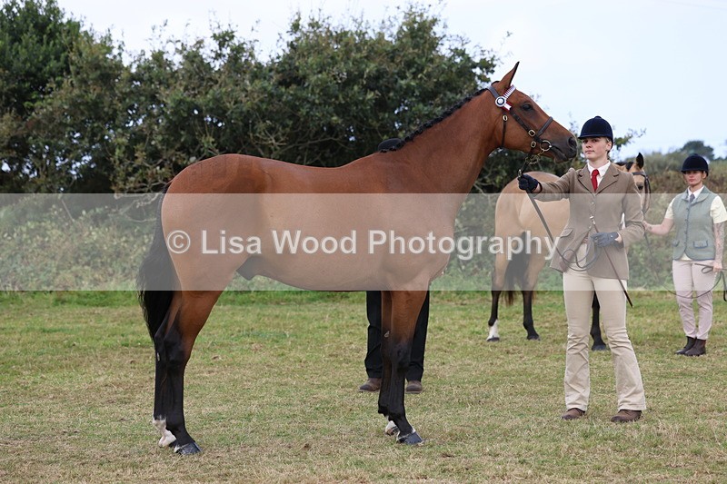 3E7A4407 - Class 15: Three Year Olds