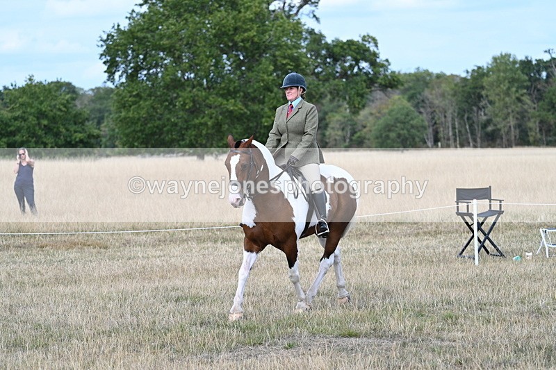 WJ7_7175 - Class 14 Ridden Coloured