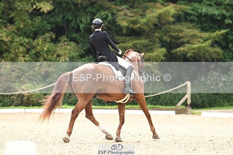 240811-134013-06127 - 127-Sarah.Stewart-DJoe.DiMaggio