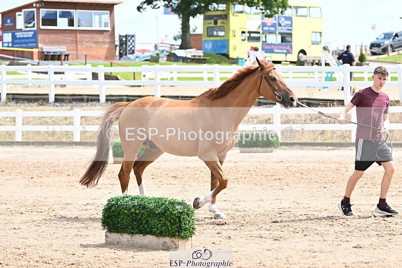 240717A-144503-02261 - Trot Up 2pm to 3pm - This folder is not in time order
