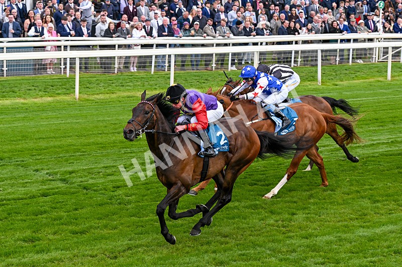 150526-Race 3-Warrant Holder-0182 - Race 3 2.55pm Support Macmillan Charity Raceday On 13 June Handicap