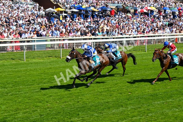 120725-Race 3-Fox Legacy-5695 - Race 3 3.10pm John Smith's Cup Handicap