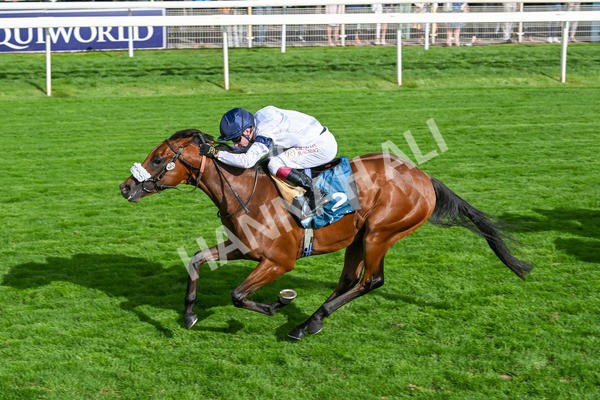 210825-Race 6-Stellar Sunrise-5218 - Race 6 4.45pm Mews Hotel Ossett EBF Stallions Nursery Handicap