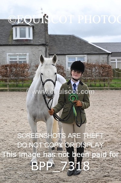 BPP_7318 - RING 1  (RIDDEN HORSES / IN HAND / VETERAN ETC)