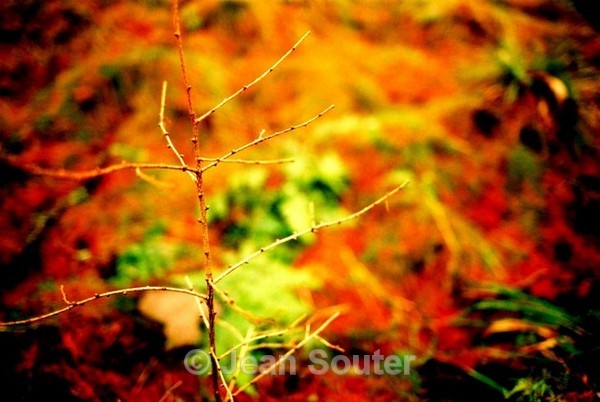C42 - Colour Images