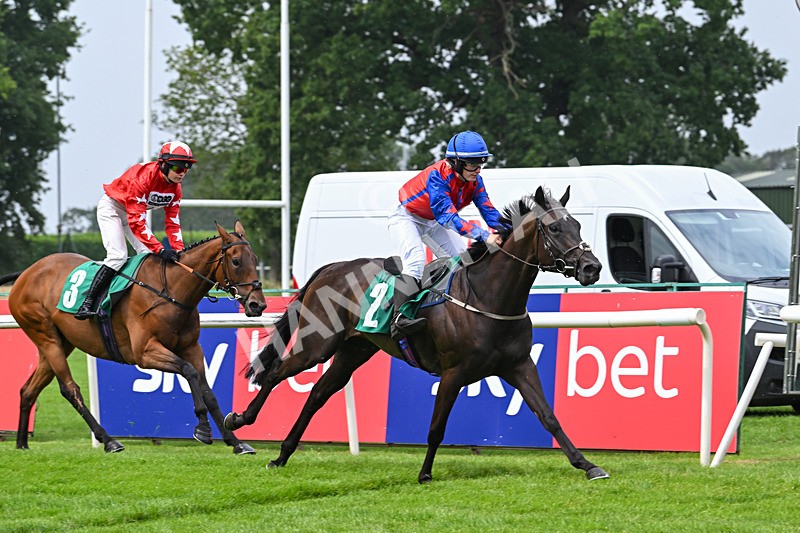 250725-Graham Lee IJF Stable Staff Stakes-E-3930 - The Graham Lee IJF Fund Stable Staff Stakes