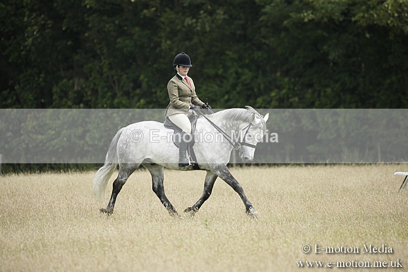 B230619-0474 - Bourne Valley Riding Club Summer Show 23/06/19