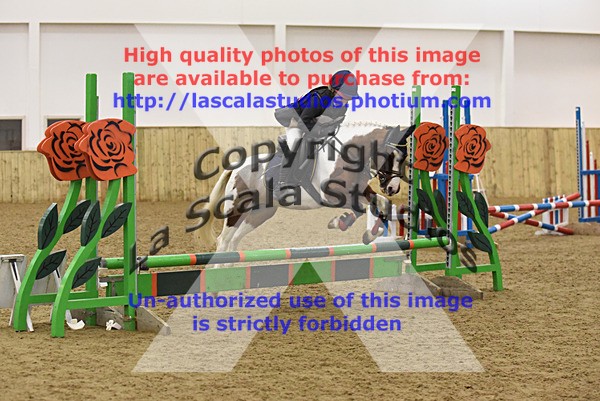 JSF_0018 - Class 1   55cm