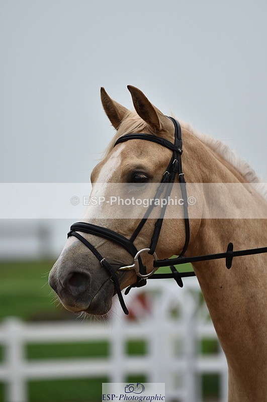 220829A-160304-00135 - 70cm Classes 3a 3b & 4