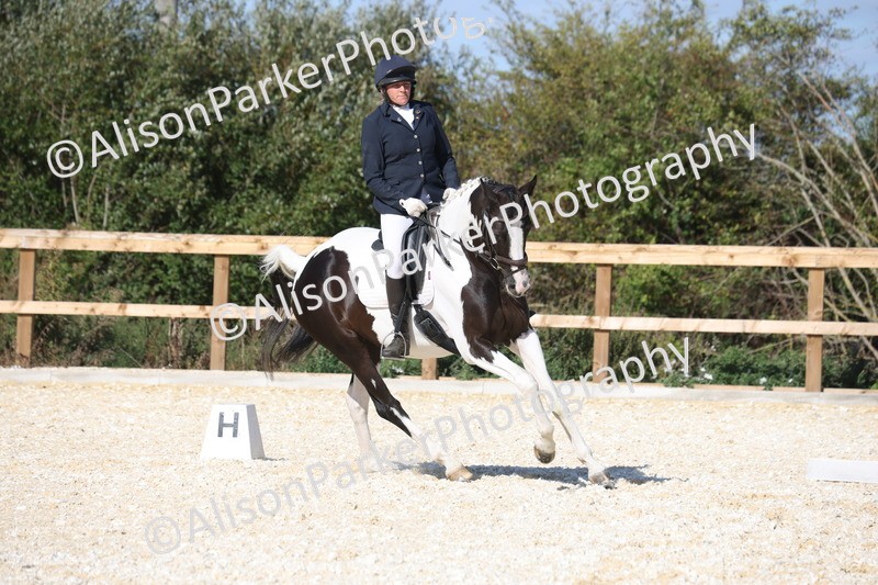 20260905-1570 - Class 5 - Novice 2