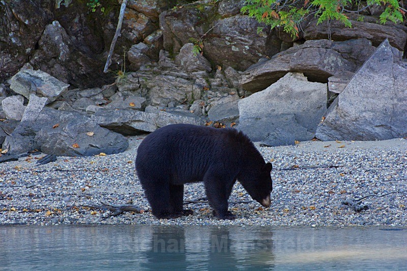  - Canada West Coast