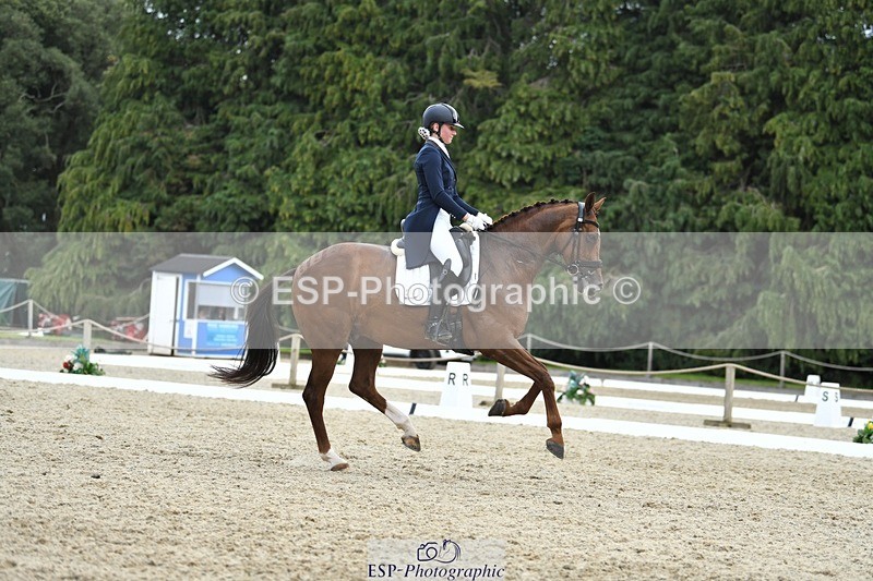 230812-141205-04633 - Cls 7 FEI PSG Bronze