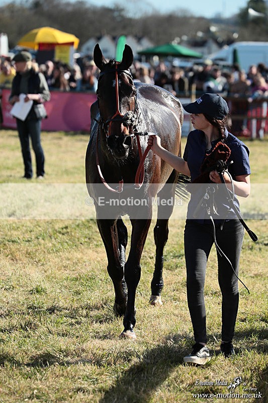 PtP 060426 580 - Paxford Races North Cotswold Easter Mon 06/04/26