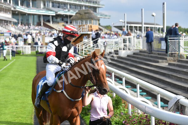 yr09072021r7-11 - Race 7 5.30pm William Hill Extra Place Races Stakes