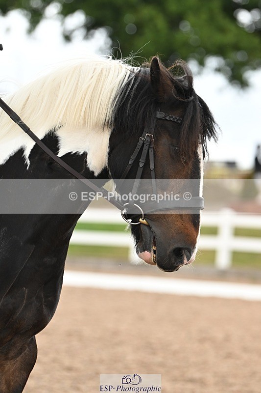 250705-175529-02861 - N1 Section BDNOV1 1350 to 15.28