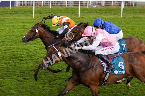 190523-Race 2-Sounds Of Heaven-7733 - Race 2 2.25pm Oaks Farm Stables Fillies' Stakes