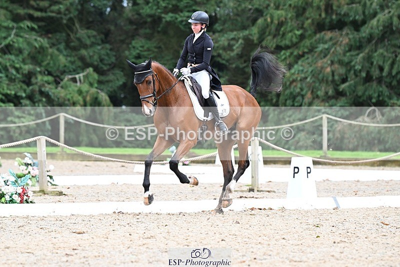 231019-163612-05375 - 070-SLIGO.CASTLE.JACOMAR-Veera.Peltokangas-DR