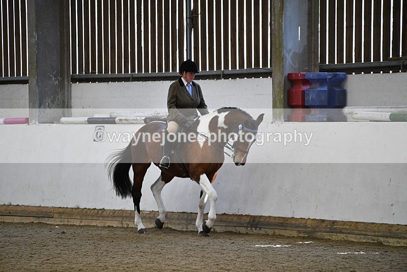 WJ5_5904 - Class 9 Ridden Veteran