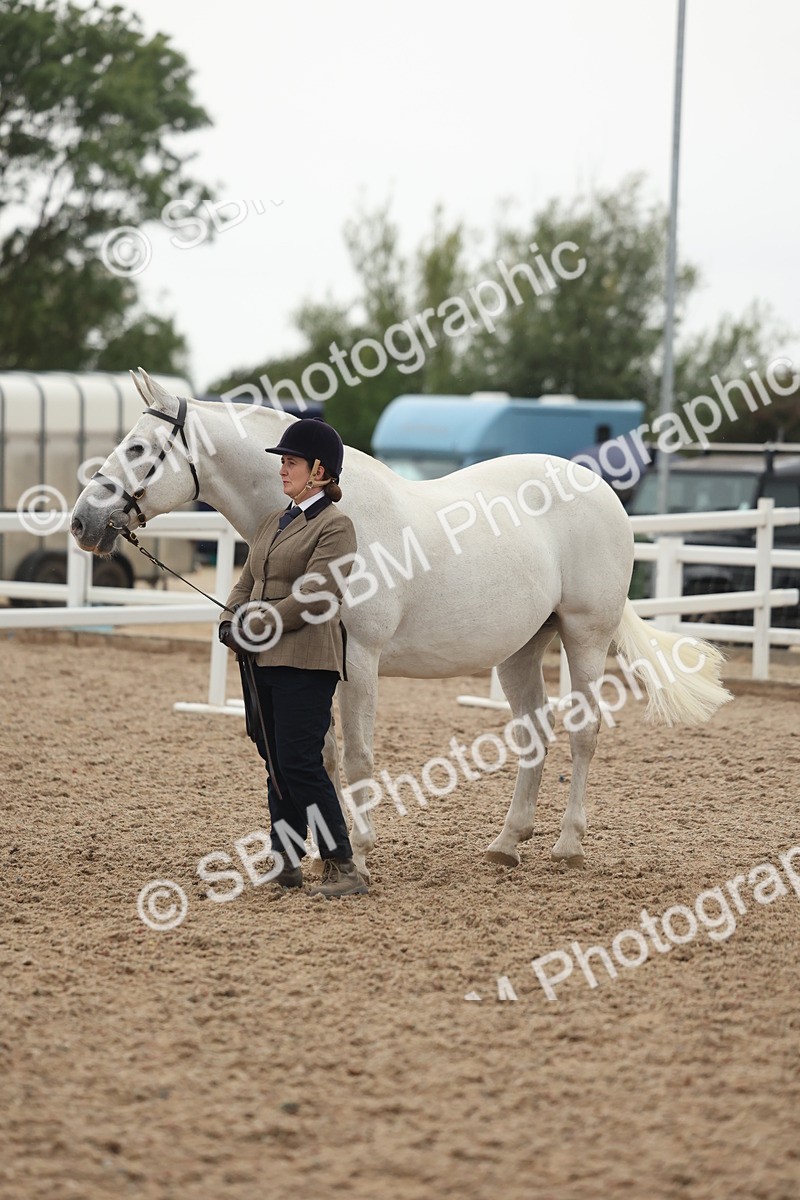 SBM_19423 - Class 317 - IH Pure Bred Horse-Pony