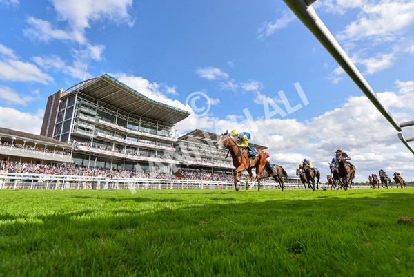 230824-Race 5-Canoodled-4337 - Race 5 4.10pm Assured Data Protection EBF Fillies' Handicap
