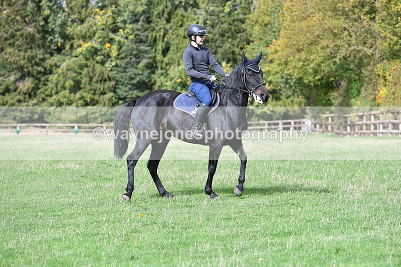 WJ5_9324 - Time 13:03 to 13:25