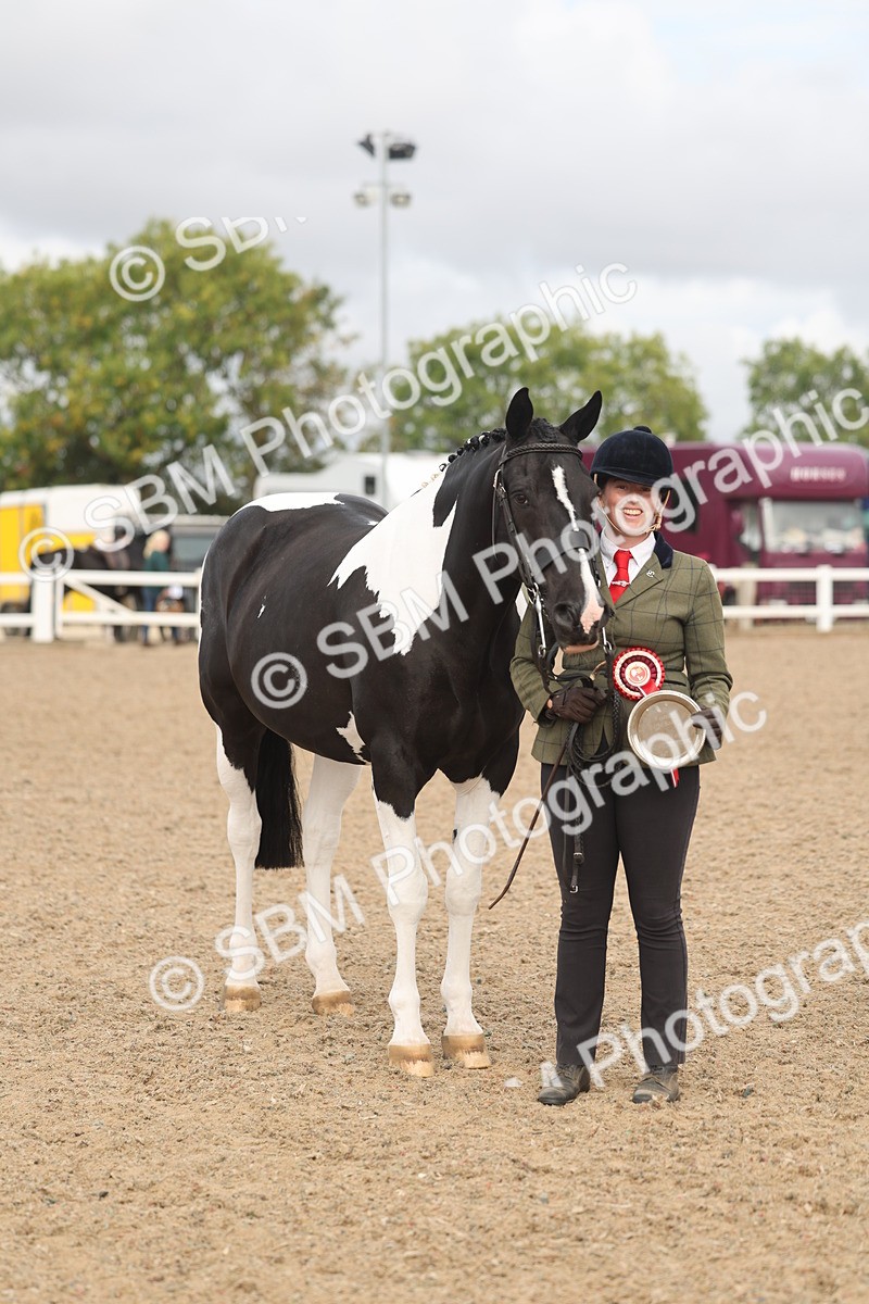 SBM_02135 - Class 15 - IH Coloured