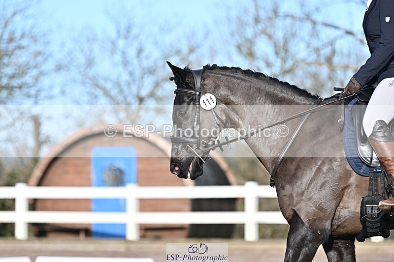 250125-102925-00190 - Dressage - CT Class 4 BE95 (80cm)