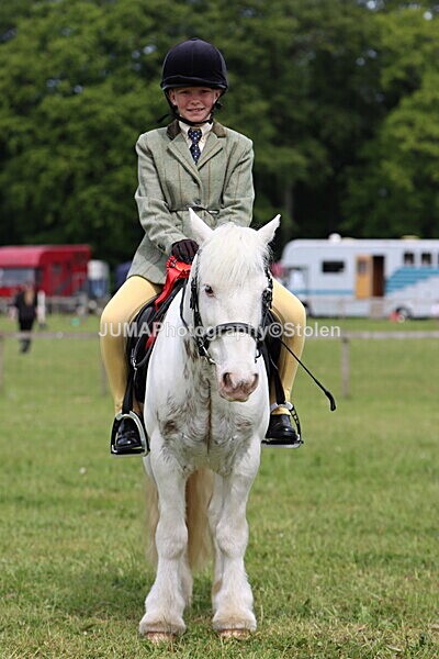 IMG_2723 - Working Hunter