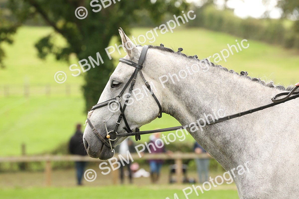 SBM_66378 - S66 - Hunter Ridden