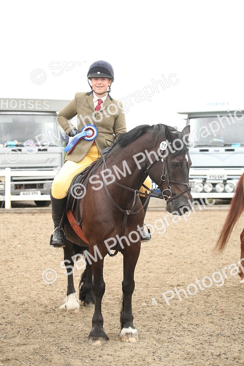 SBM_18414 - Class 509B - Working Veteran - 80cm (20+)