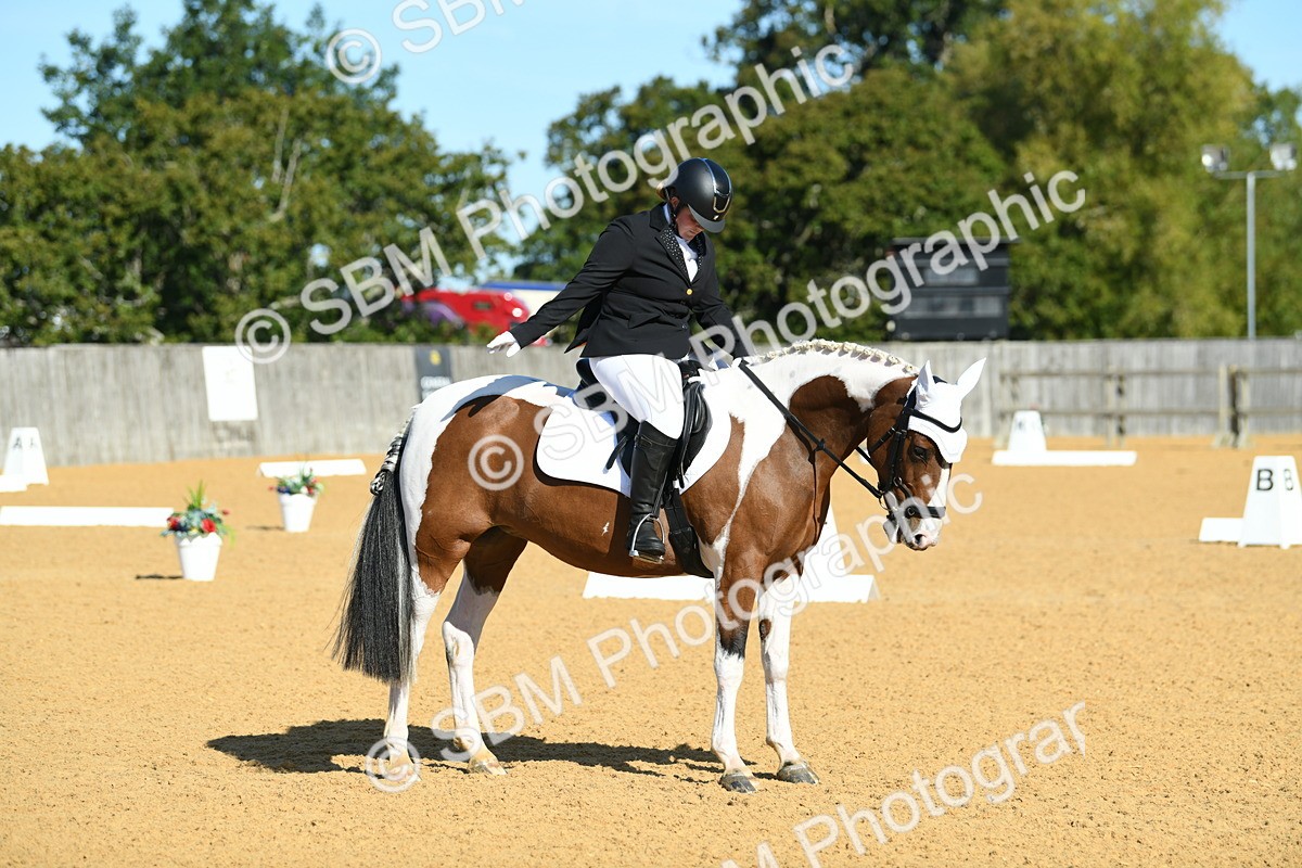 SBM_17934 - D4 - Small Tour Championship - Intro B