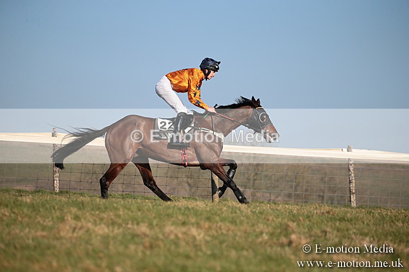 PtP 230219 392 - Vine & Craven Point-To-Point - Barbury 23/02/19